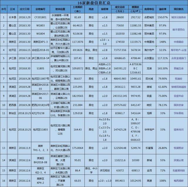 今天合肥土拍最新消息,合肥土拍最新消息，今日市场动态深度解析