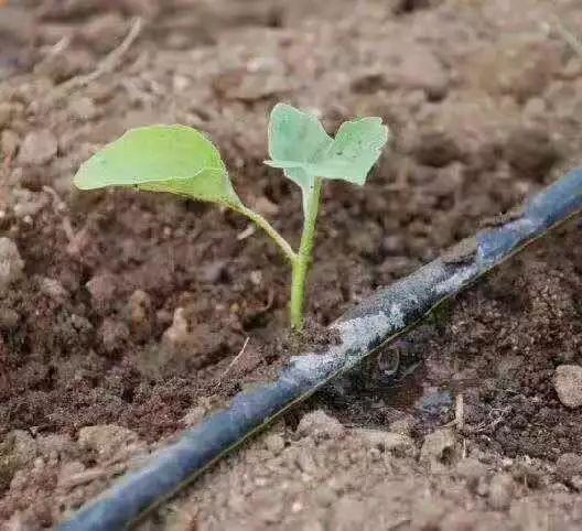 青龙管业最新消息重组,青龙管业最新消息重组，重塑行业格局，引领未来发展