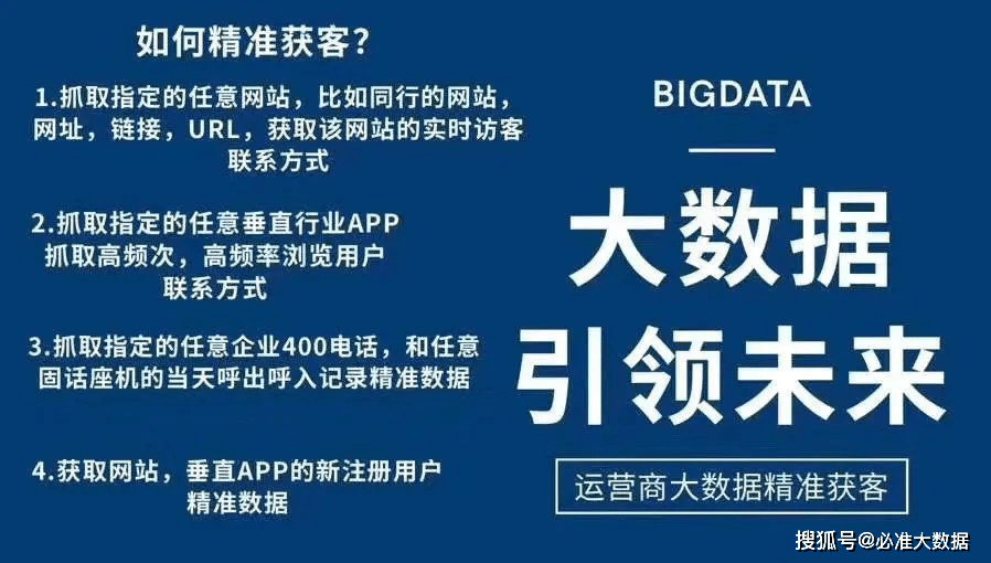 新澳内部资料精准大全,新澳内部资料精准大全，深度解析与洞察