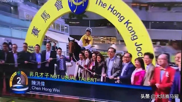 2024今晚香港开特马开什么,探索香港赛马文化，2024今晚特马赛事展望