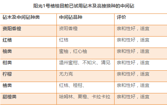 奥门六和开奖号码,澳门六和开奖号码，探索与解析