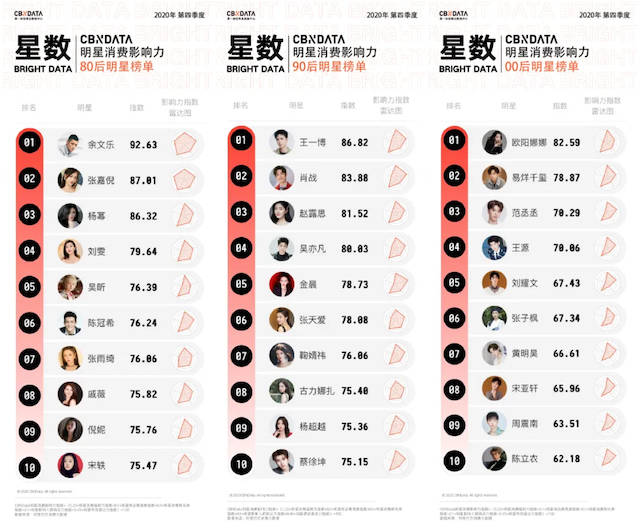 管家婆204年资料一肖,揭秘管家婆204年资料一肖，背后的秘密与深度解析