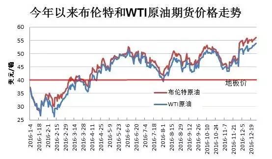 笨鸟先飞